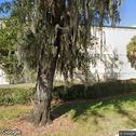 Family & Cosmetic Dentistry, dentists office located at 13402 Bruce B Downs Blvd, Tampa, FL.