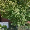Microscope Dentistry By Shoup, dentists office located at 14540 Prairie Lakes Blvd N, Noblesville, IN.
