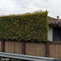 Petaluma Dental Associates, dentists office located at 1580 E Washington St, Petaluma, CA.
