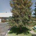 Mehta & Pipalia DDS Inc, dentists office located at 1990 Shaw Ave, Clovis, CA.