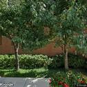 Lincoln Court Dental Ltd, dentists office located at 8037 Lincoln Ave, Skokie, IL.