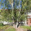 Axelrode Orthodontics-Vallejo, dentists office located at 15 Rotary Way, Vallejo, CA.