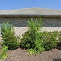Heartland Dental Care of Indiana PC, dentists office located at 1515 W Glen Park Ave, Griffith, IN.