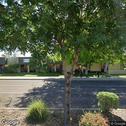 Micron Dental, dentists office located at 617 N Scottsdale Rd, Scottsdale, AZ.