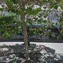 Total Health Dental Care, dentists office located at 300 Frank H Ogawa Plz, Oakland, CA.