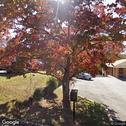 Dr. Daniel Grabeel, dentists office located at 1929 Thomson Dr, Lynchburg, VA.