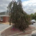 Roller Matthew C DDS, dentists office located at 590 Neff Ave, Harrisonburg, VA.