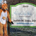 Judith M Shea DDS PLLC, dentists office located at 2669 Chili Ave, Rochester, NY.