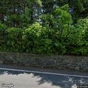 Katonah Dental Group, dentists office located at 128 Bedford Rd, New City, NY.
