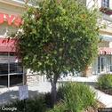 Great Expressions Dental Centers Zephyrhills, dentists office located at 7950 Gall Blvd, Zephyrhills, FL.
