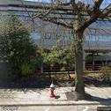 North Shore Long Island Perio - Edwin Ginsberg DMD & Vasiliki Batalias DDS, dentists office located at 233 E Shore Rd, Great Neck, NY.