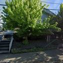 Smile Makers Denture & Dental, dentists office located at 212 NE Savage St, Grants Pass, OR.