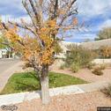 Haltom Orthodontics, dentists office located at 10433 Lagrima De Oro Rd NE, Albuquerque, NM.