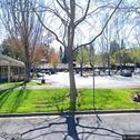 Livery Dental, dentists office located at 301 Sycamore Valley Rd W, Danville, CA.