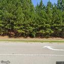 Mint Leaf Dentistry, dentists office located at 110 Lattner Court,, Morrisville, NC.