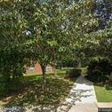 Smile Works Pllc, dentists office located at 2151 Delta Blvd, Tallahassee, FL.