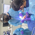 Elite Oral  Maxillofacial Surgery of Oklahoma, dentists office located at 11916 S Oxford Ave, Tulsa, OK.