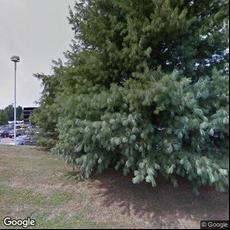 Coastal Connecticut Oral & Maxillofacial Surgery, dentists office located at 246 Goose Ln, Guilford, CT.